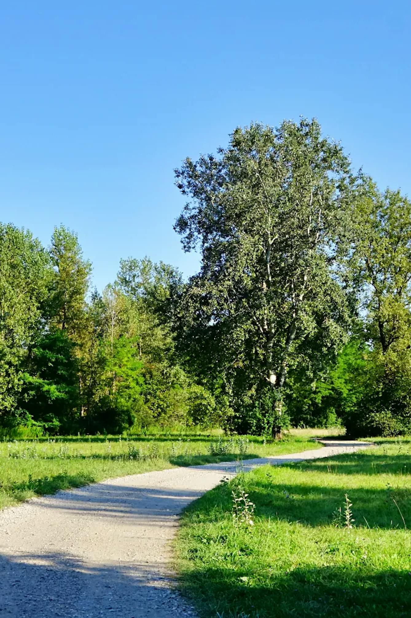 Šturmovci